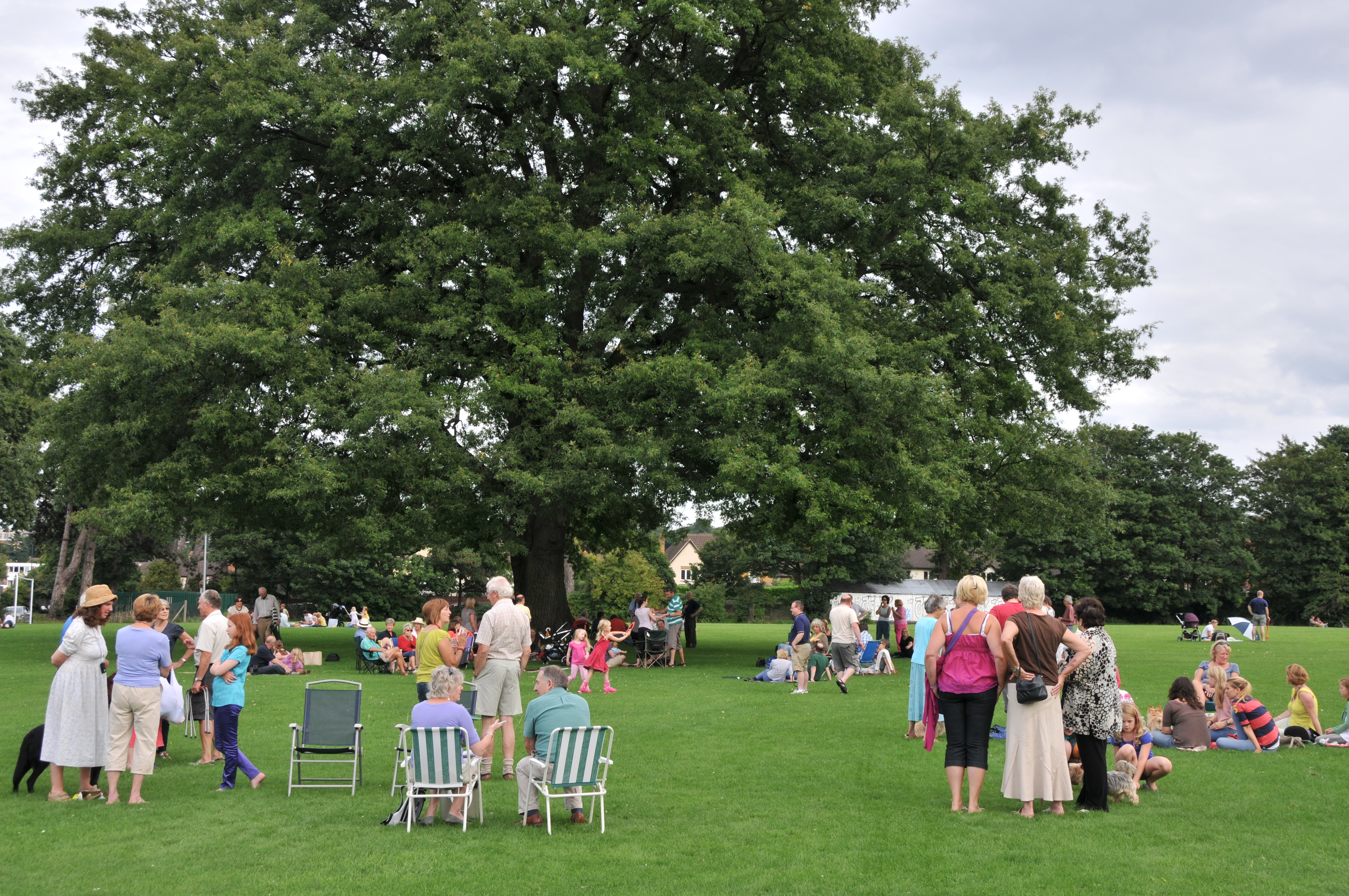 Party in the Park (3) 2011