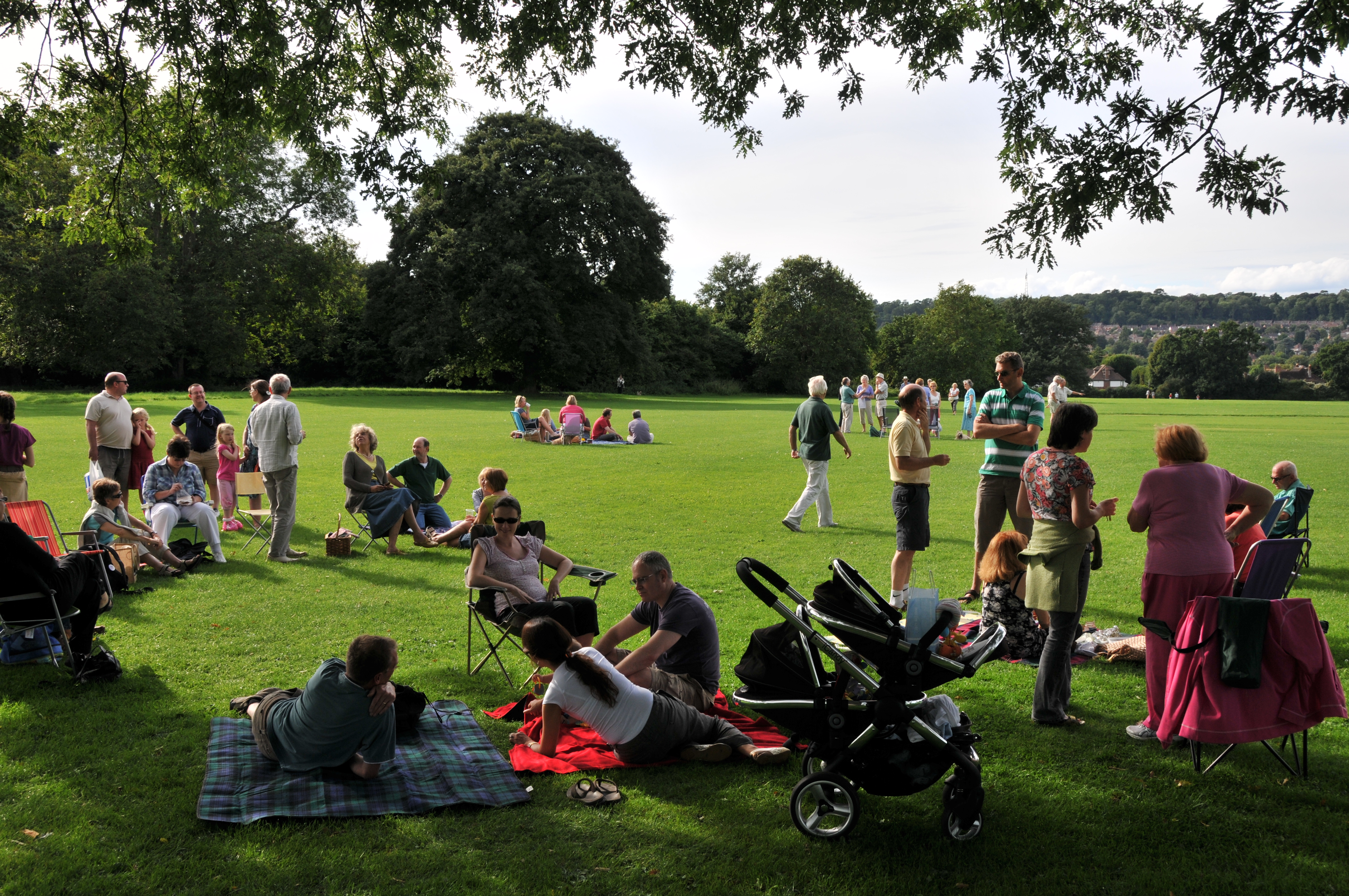 Party in the Park (4) 2011